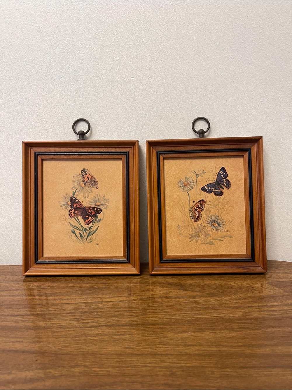 Wooden Framed Butterfly Wall Art Pair - Brown
